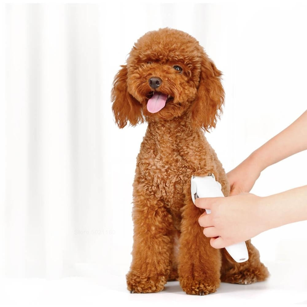 Original Xiaomi Youpin Pawbby Dog Professional Razor Pet Grooming Clippers Electric Rechargeable Safety Haircut Machine(White)