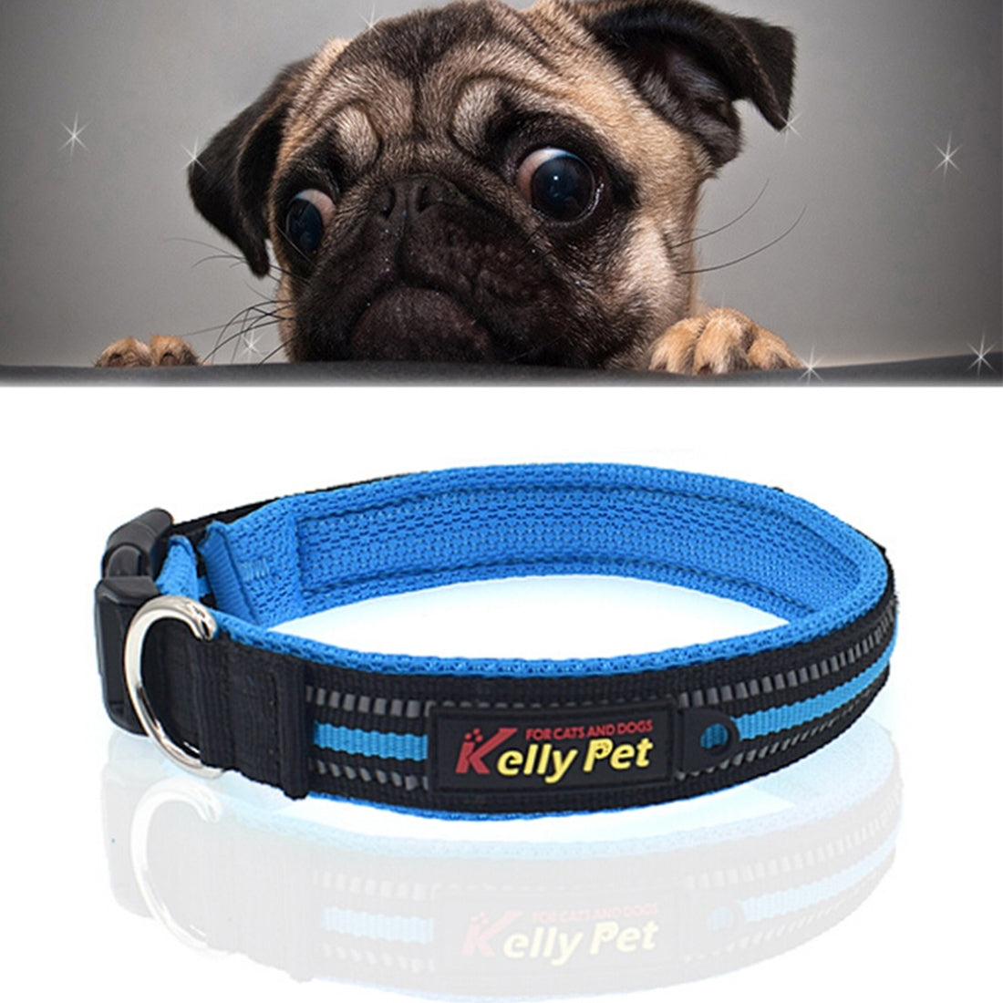Pet Dogs Polyester Reflective Breathable Pets Collar Traction Lead Leash, Size: S, 2.0*35*40cm (Blue)