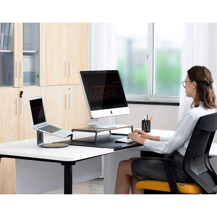 Monitor Stand Riser with Metal Feet for iMac MacBook LCD Display Print ...
