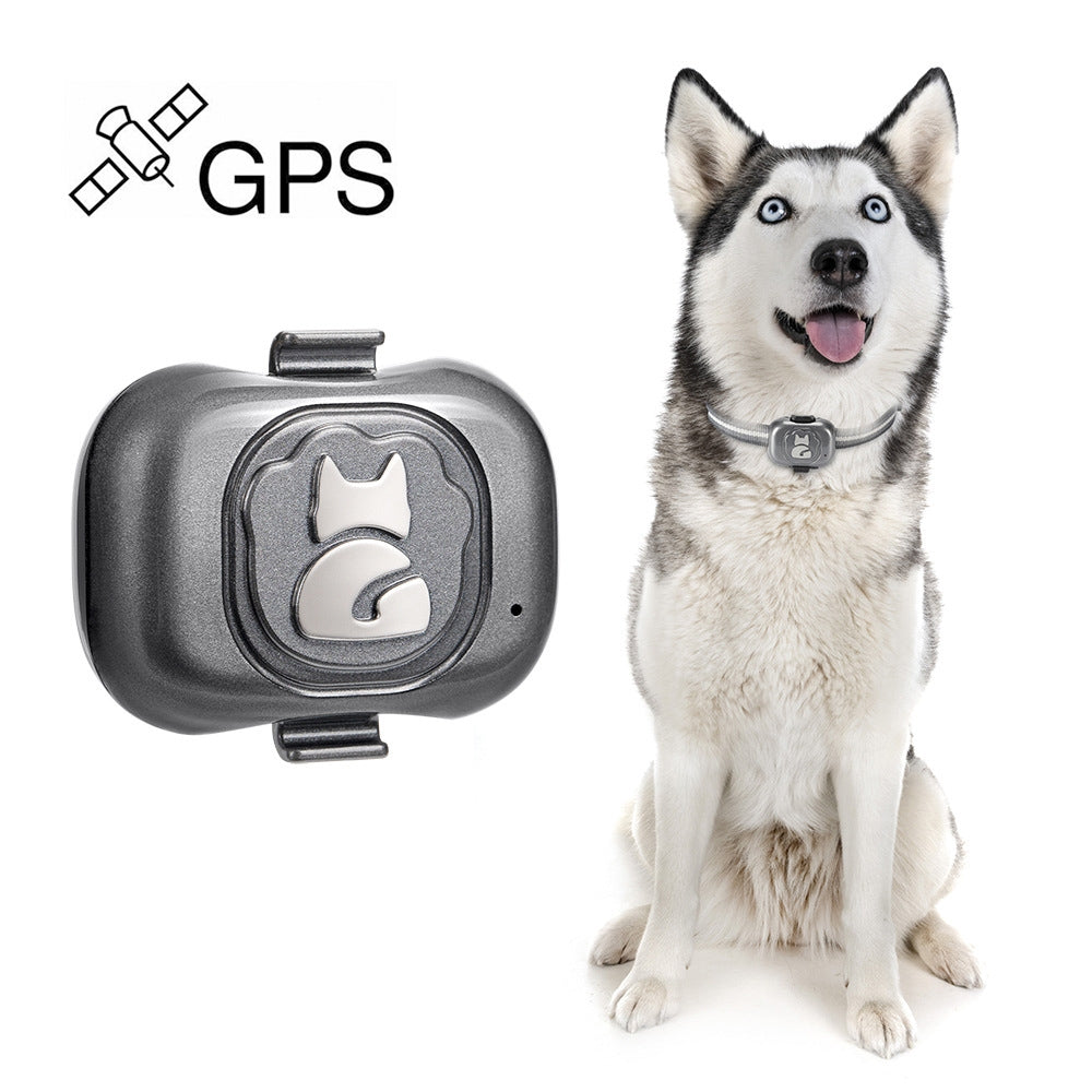 G16 Pets GPS Tracker IP67 Waterproof Smart Collar Anti-lost Tracking f ...