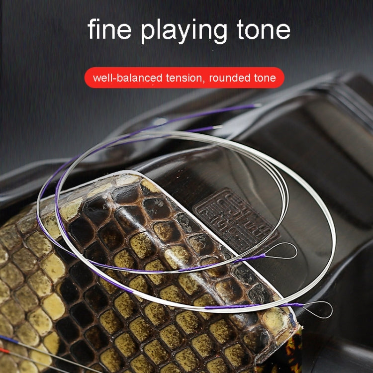 Concert Grade Silver Plated Copper Wire Wound Erhu Strings Set – Bulky Mart