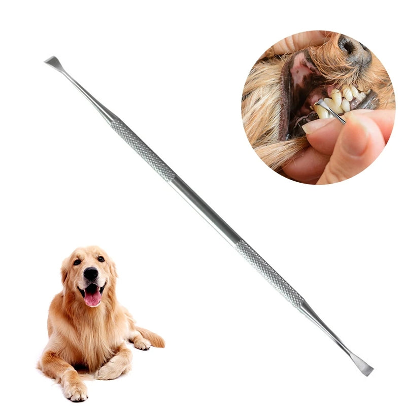 Dog Decalcification Tip Scraper Pet Teeth Cleaning Tool – Bulky Mart