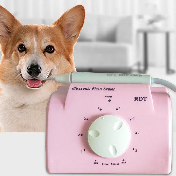 Ultrasonic Dental Washing Machine for Pet Dog Teeth Stone Remover, Plug Specifications:US Plug(Pink)