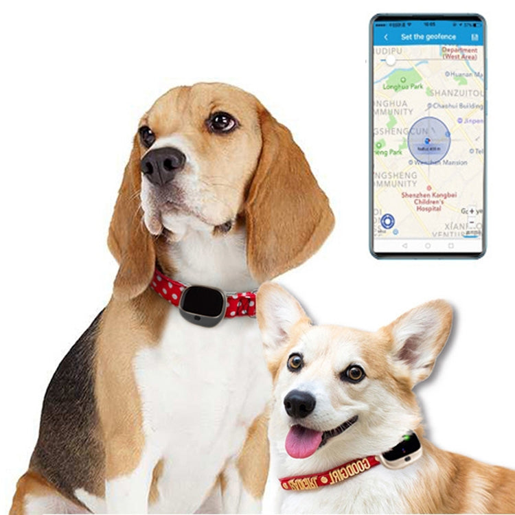 RF-V43 A Style IP67 Waterproof GPS + LBS + WiFi Pet Locator Pet Collar Tracking Device For Asia/Europe/Africa/Australia(Black)